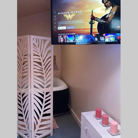 Apartment Suite Avec Spa Saint-Denis (Seine-Saint-Denis)